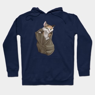 Cats in the bag Hoodie